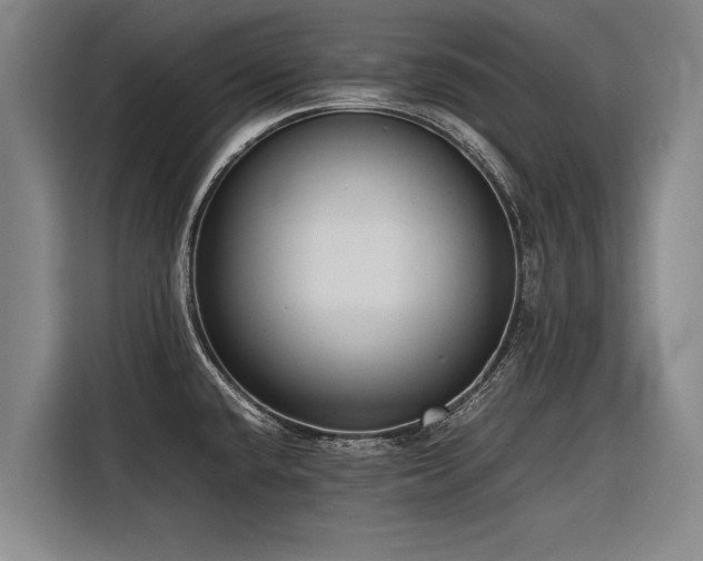 X0000116601432200912111105