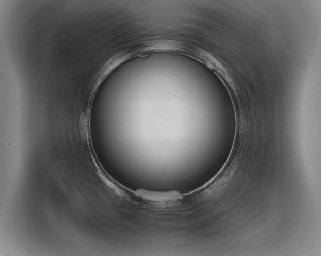 X0000116601433200912111105