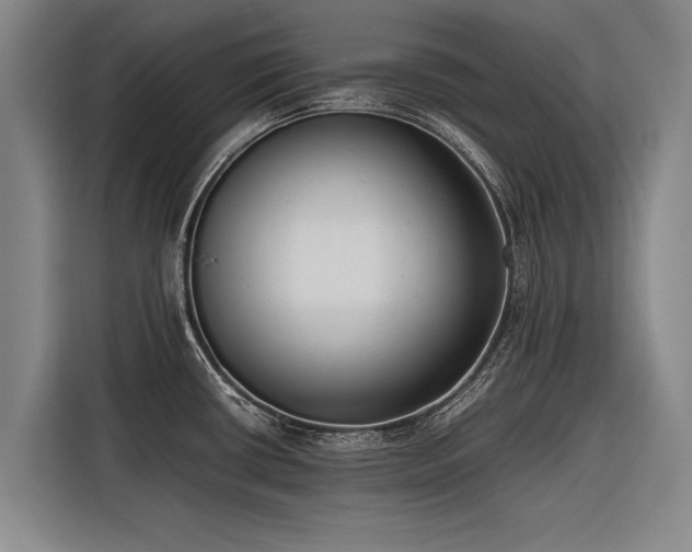X0000116601434200912111105