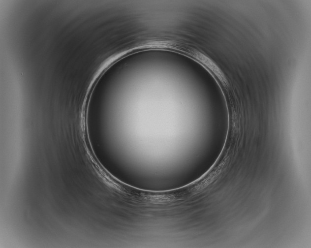 X0000116601436200912111105