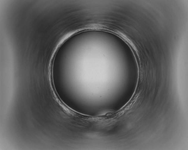 X0000116601437200912111105