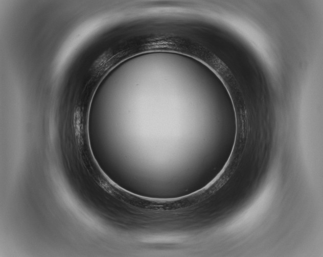 X0000116601438200912111105