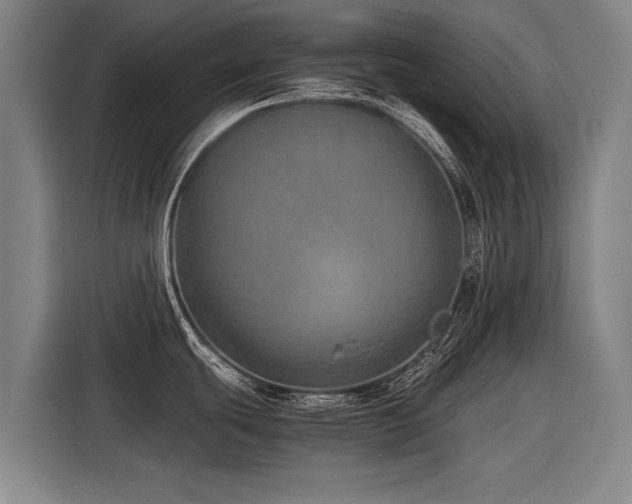 X0000116601439200912111105
