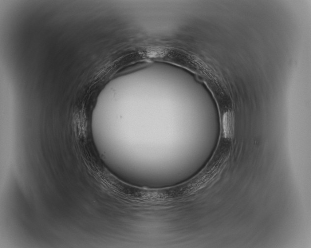 X0000116601443200912111104