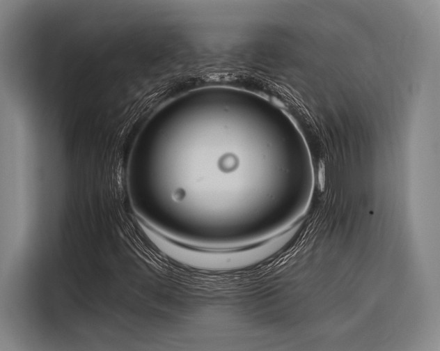 X0000116601444200912111104