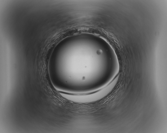 X0000116601445200912111104