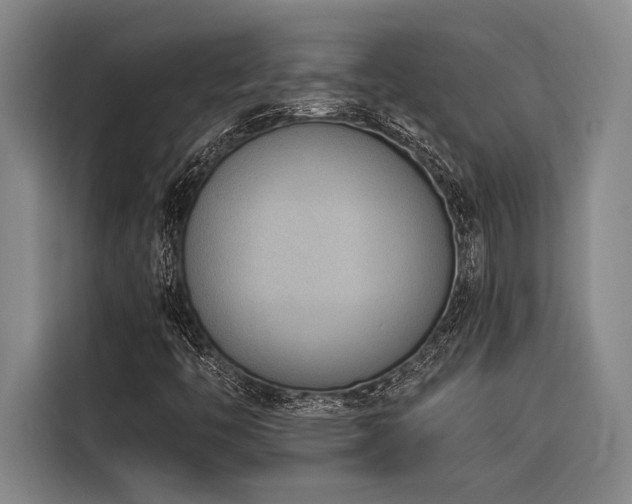 X0000116601446200912111104