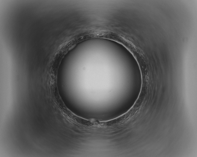X0000116601447200912111104