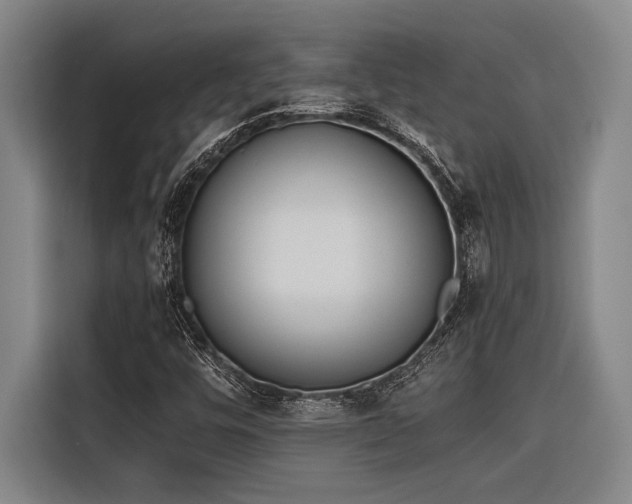 X0000116601448200912111104