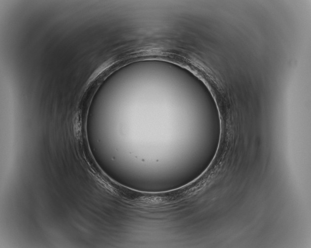 X0000116601450200912111104