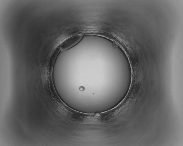 X0000116601453200912111104
