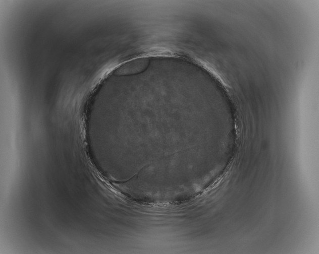 X0000116601455200912111104