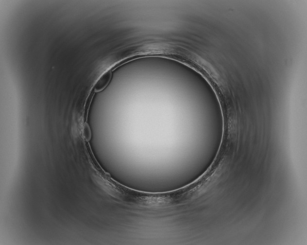 X0000116601465200912111104