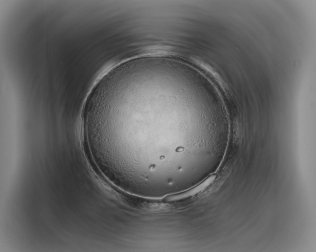 X0000116601467200912111104