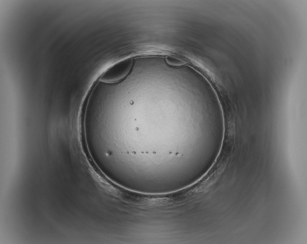 X0000116601471200912111104