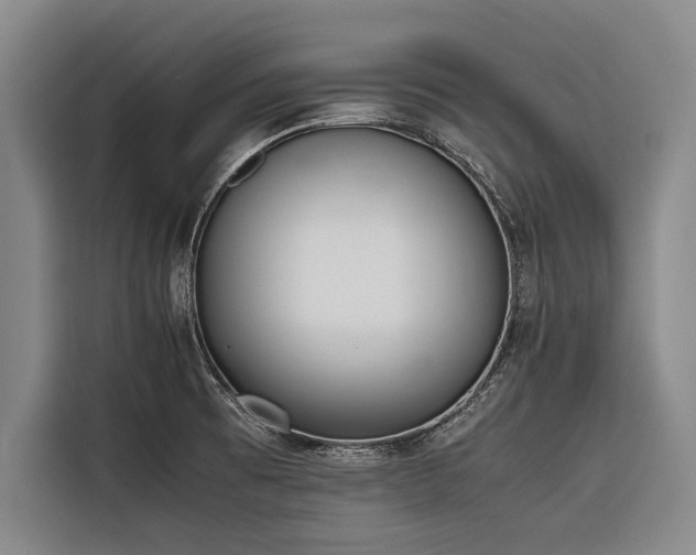 X0000116601473200912111104