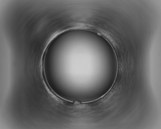 X0000116601479200912111104