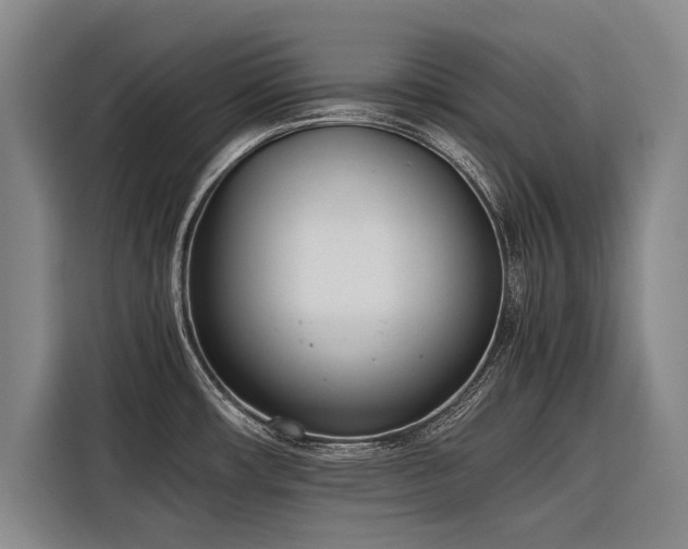 X0000116601482200912111104