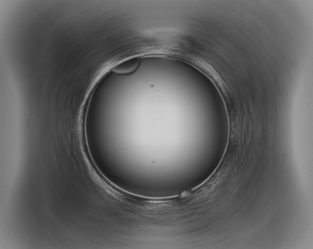X0000116601483200912111104