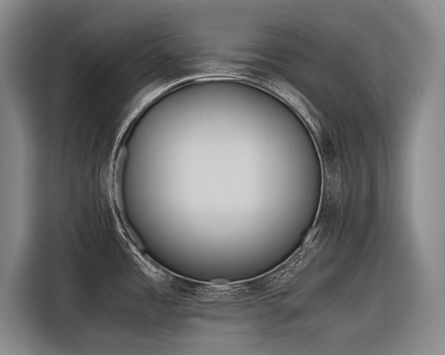 X0000116601485200912111104