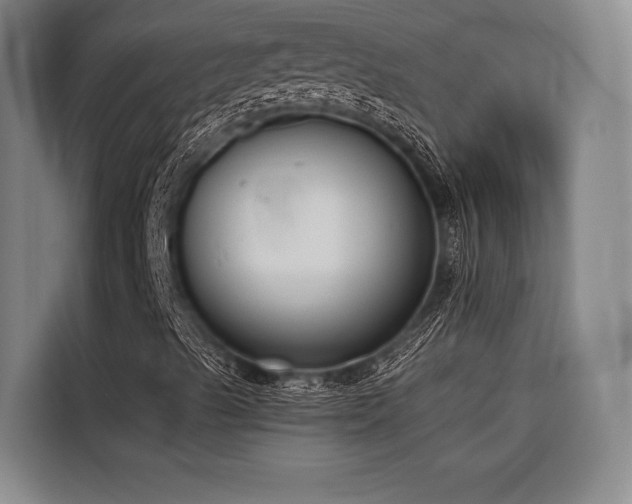 X0000116601489200912111103