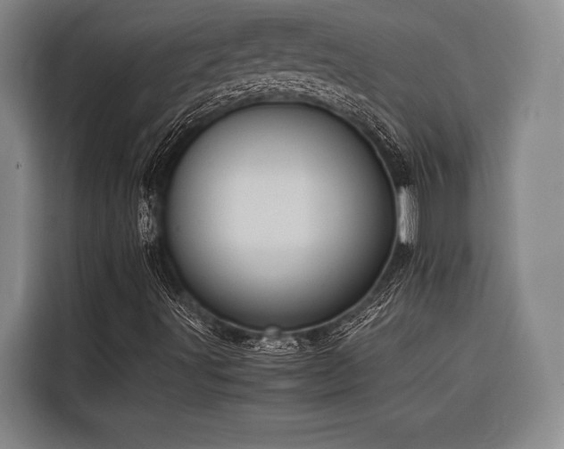 X0000116601491200912111103