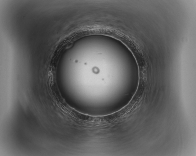 X0000116601493200912111103