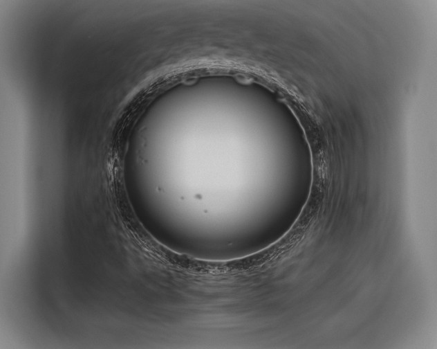 X0000116601495200912111103
