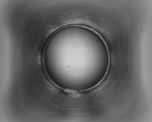 X0000116601497200912111103