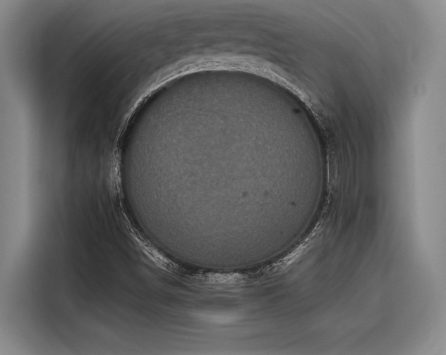 X0000116601498200912111103