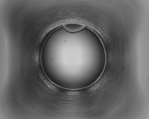 X0000116601499200912111103