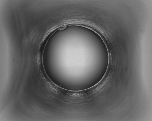 X0000116601501200912111103