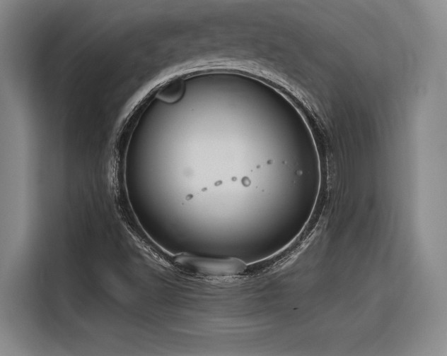 X0000116601502200912111103