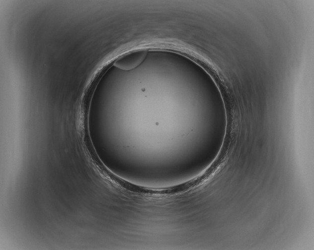 X0000116601506200912111103