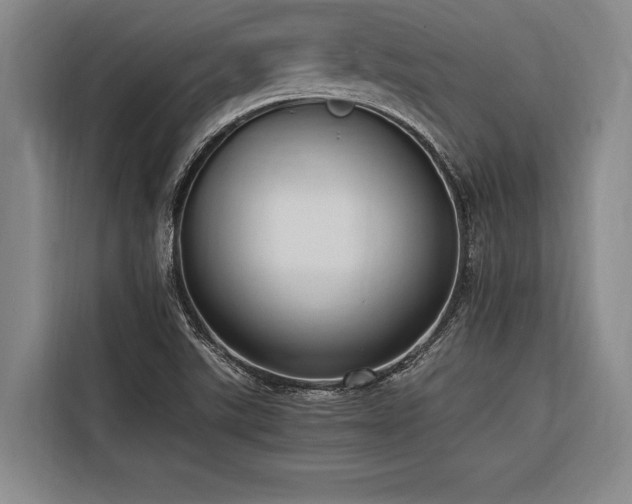 X0000116601507200912111103