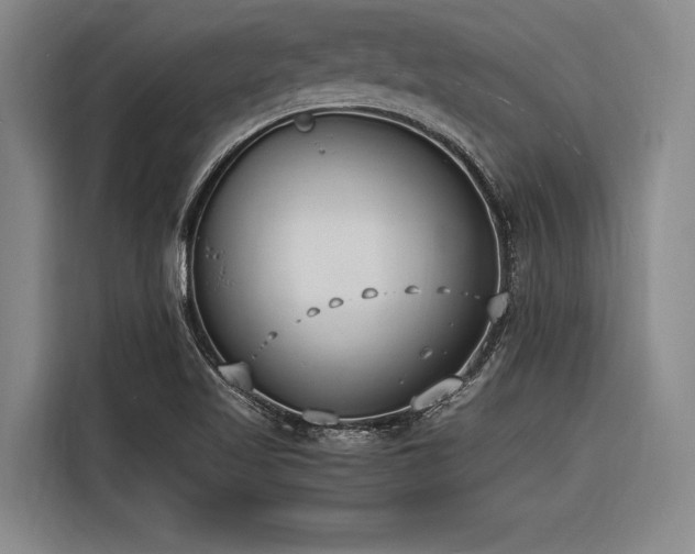 X0000116601509200912111103