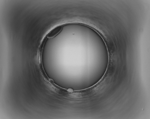 X0000116601510200912111103