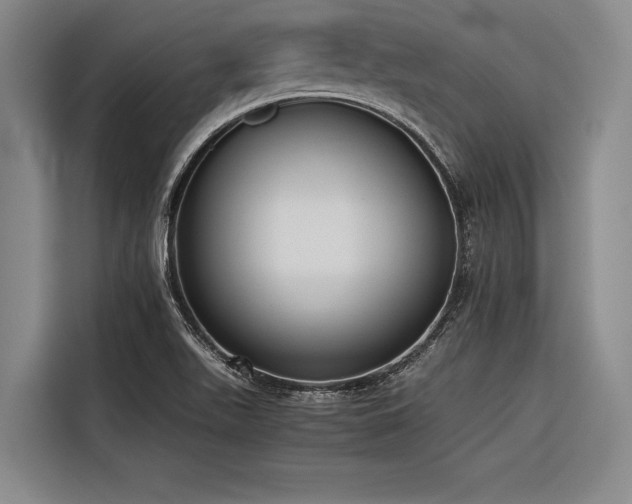 X0000116601511200912111103