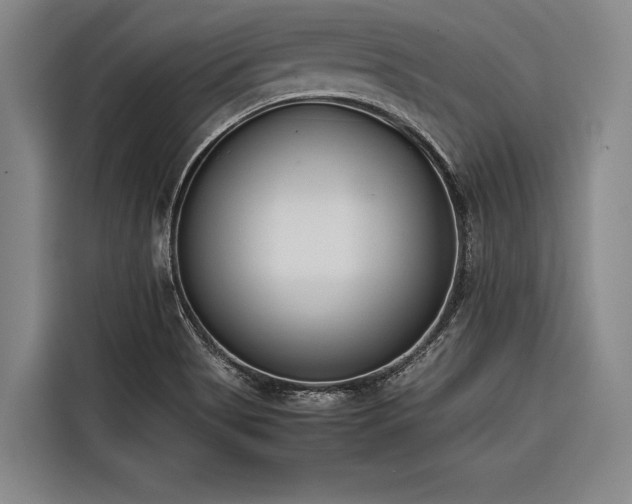 X0000116601513200912111103