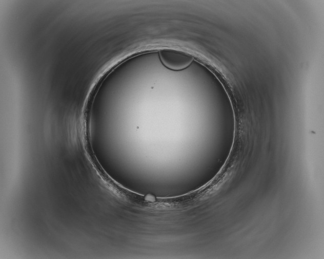 X0000116601517200912111103