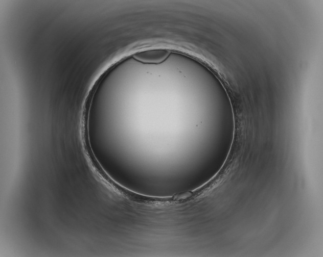 X0000116601518200912111103