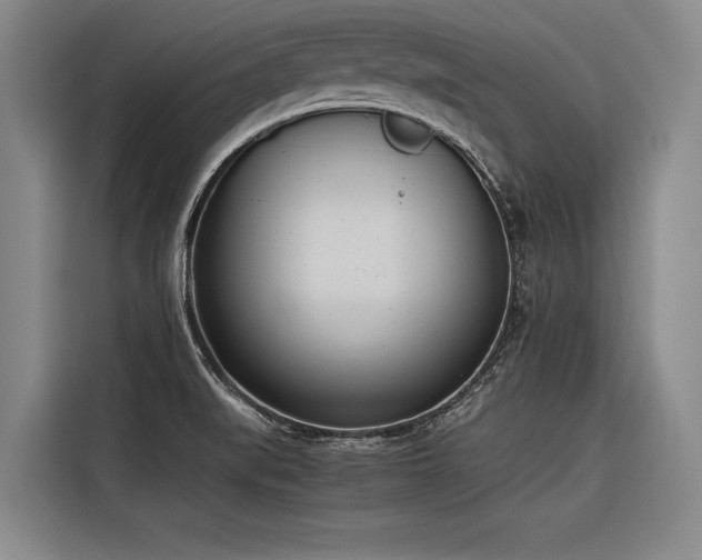 X0000116601519200912111104