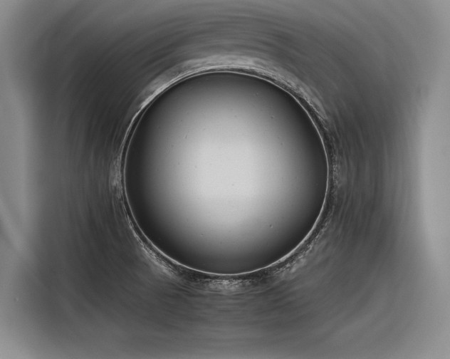 X0000116601521200912111104