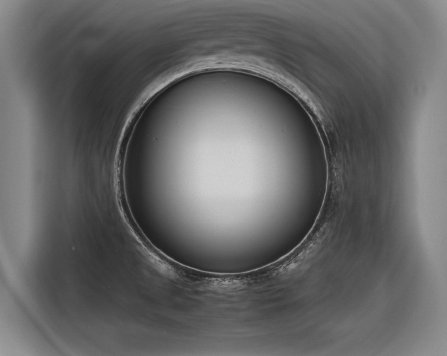 X0000116601525200912111104