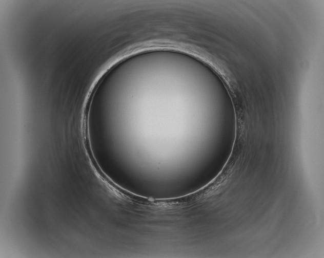 X0000116601527200912111104