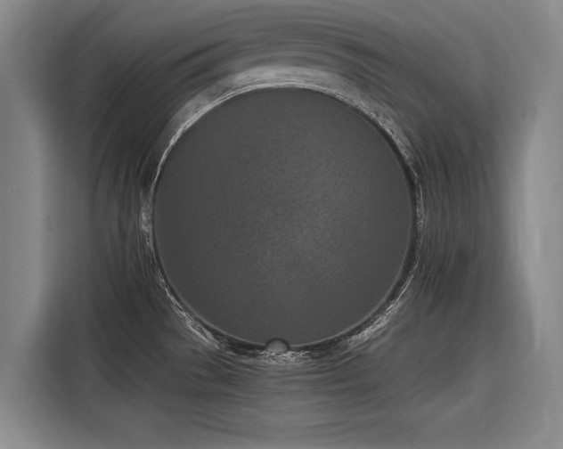 X0000116601529200912111104