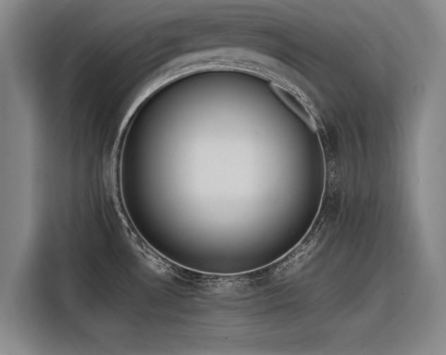 X0000116601530200912111104