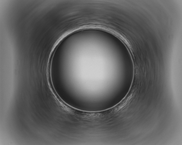 X0000116601533200912111104