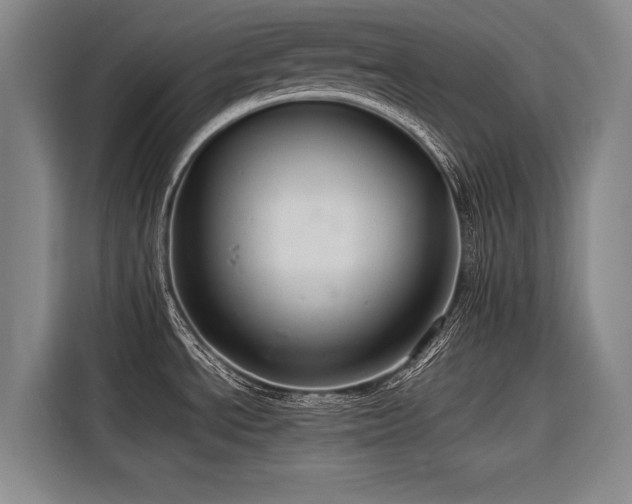 X0000116601534200912111104