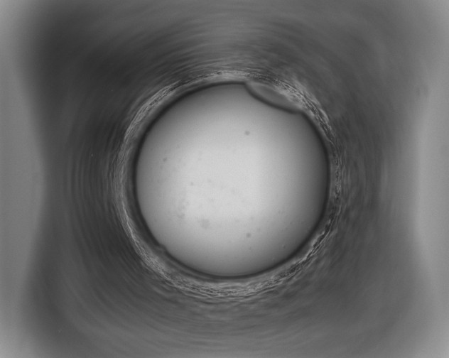 X0000116600001200912181155